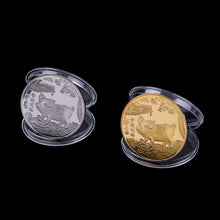 Load image into Gallery viewer, Good Fortune 2019 Fu Pig Commemorative Coin Year of Pig Delivers Money Coins Collection New Year Gift Gold Plated Home Car Decor